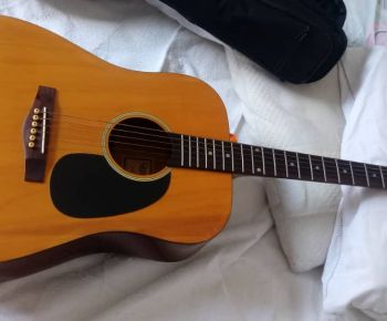 📢 Instrumentos Musicales